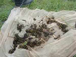 individuálny zber materiálu