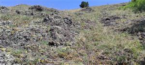 Celkový pohľad 2 na TML_6110_129