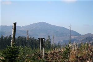 Fotografia zachytáva biotopy v TML.