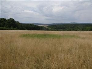 Pohľad na strednú časť TML_6510_116