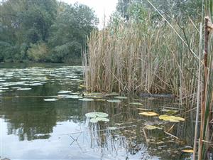 interiér ramena paleopotamon