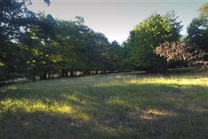 lokalita pozostáva z mnohých malých lúčiek