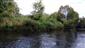 Rieky s bahnitými až piesočnatými brehmi s vegetáciou zväzov Chenopodionrubri p.p. a Bidentition p.p. (5.9.2022)