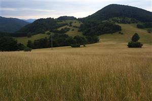 celkový pohľad na lokalitu z jej východnej časti