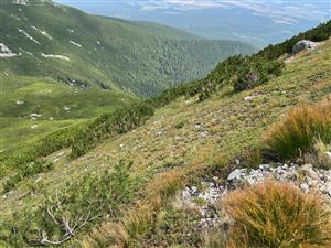 Druha cast TML, vzdialnejsia od Batizovskeho plesa, pekny fragment s Calluna vulgaris, vyraznejsie vsak zarastajuci kosodrevinou