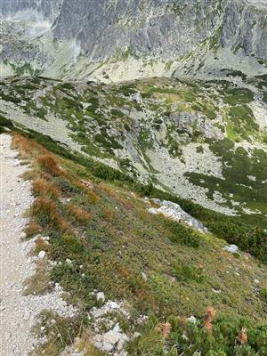 Časť plochy ypod chodníkom s vyhladom na osttanú časť TML nad Batizovským plesom