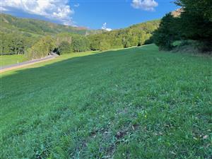 pohľad na svah nad rekonštruovanou cestou