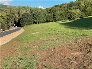 poškodený biotop pri násype cesty