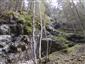 grimaldia trojtyčinková (19.4.2014)
