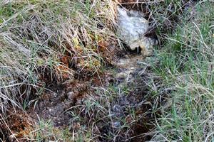 celkový záber na lokalitu