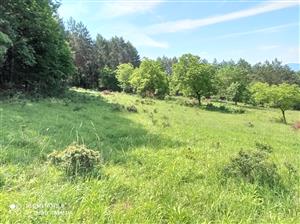 Pohľad na lokalitu.