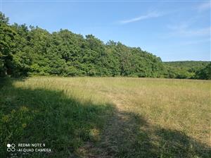 Pohľad na lokalitu.