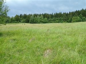 Celkový pohľad na lokalitu