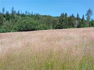 Celkový pohľad na lokalitu