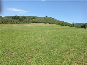 Celkový pohľad na lokalitu - pokosená časť