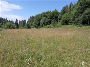 Celkový pohľad na lokalitu