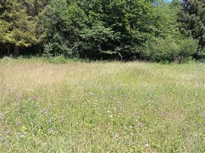 Celkový pohľad na lokalitu