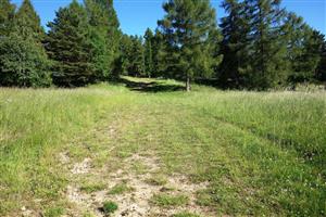 pohľad na lyžiarsku trať