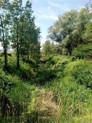 TML_Myjavská Rudava - Pustý mlyn