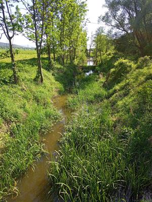 TML_Myjavská Rudava - Pustý mlyn