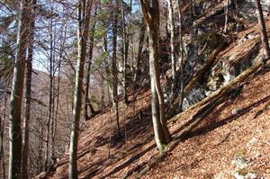 Celkový pohľad na TML