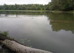 TML_Malý Dunaj - Kolárovo