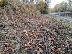 brehy jamy sú pomerne prudké, miestami s výskytom spoločenstva Eleocharis acicularis