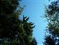 Brezové, borovicové a smrekové lesy na rašeliniskách (5.8.2022)