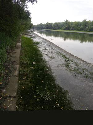 TML_Malý Dunaj - Kolárovo