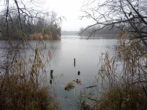 Pohľad na severnú časť TML Číčovské mŕtve rameno, foto: 9.12.2022, J.Lengyel.