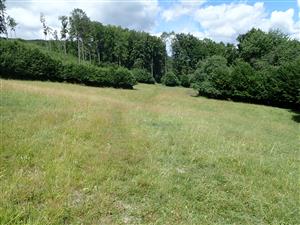 Pohľad na lokalitu - západná časť