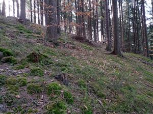 Pohľad na lokalitu