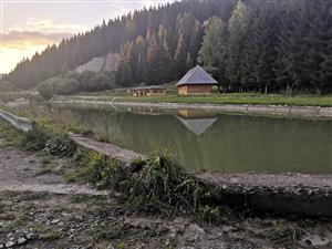 Novoť vodná nádrž v blízkosti lokality Novoť potok, realizácia záznamu netopierov za pomoci detektora