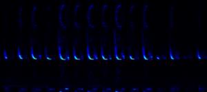 záznam echolokačných hlasov Pipistrellus pipistrellus z uvedenej lokality