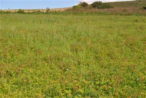 pohlad na lokalitu 2