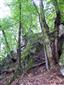 Lipovo-javorové sutinové lesy (19.9.2013)