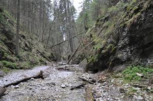 Pohled na skalní stěny kaňonu
