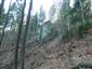 Svrčinník, pohľad na TML 039