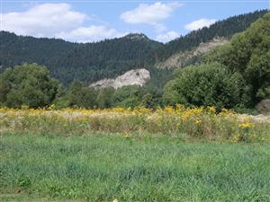 Pohľad na momentálne nevyužívané políčka 