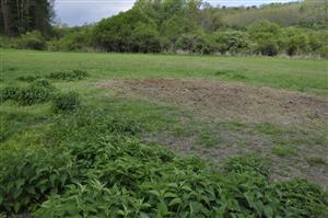 Krmovisko zveri, v okolí nitrofilný porast s Urtica dioica