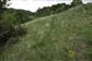 Porast Stipa joannis v biotope Tr2