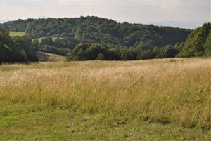 pohlad na lokalitu 2