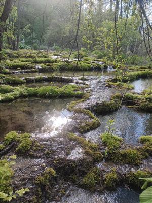 pohľad na lokalitu