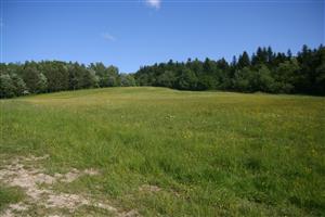 Celkový pohľad na biotop smerom na SSZ