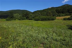 Celkový pohľad na TML smerom na Strážov.