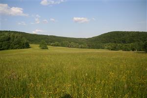 Celkový pohľad na biotop smerom na V