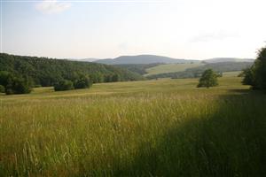 Celkový pohľad na biotop smerom na Z