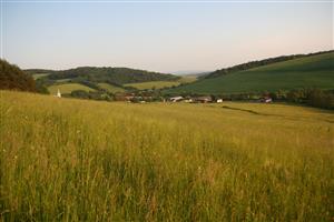 Celkový pohľad na biotop smerom na J