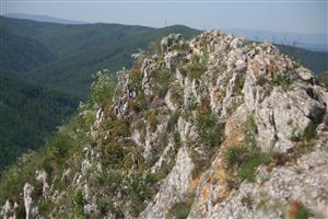 Celkový pohľad na biotop smerom na SZ