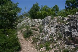 Celkový pohľad na časť biotopu smerom na S